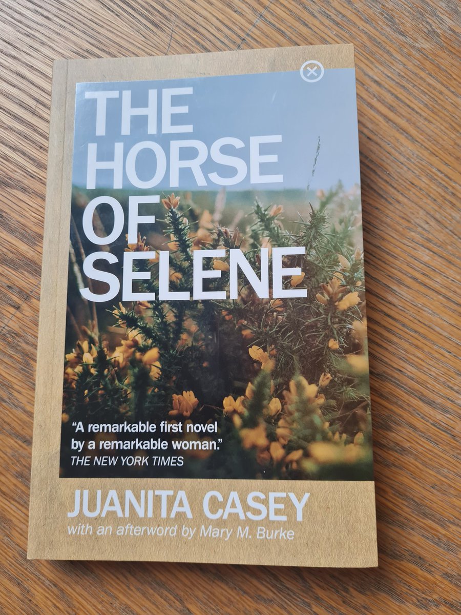 Delighted to attend the <a href="/tramppress/">Tramp Press</a> launch of Juanita Casey's The Horse of Selene <a href="/IASIL_2022/">IASIL 2022</a>. Had to treat myself to a copy after hearing <a href="/DrMaryBurke/">Mary Burke</a> &amp; <a href="/deirdre_flynn/">deirdre flynn</a> discuss it!