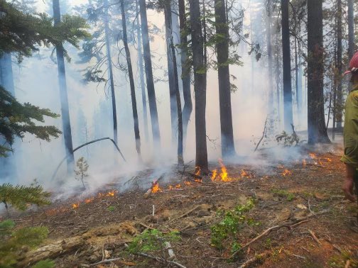 CentralORFire's tweet photo. #ToloMountain 🔥: Firefighters and a dozer worked into the night constructing containment line around fire area, which includes multiple spots. Air resources will be flying soon to look for additional smokes around the perimeter. The fire is est.~25 acres and is 0% contained. https://t.co/T9PokVj1EA