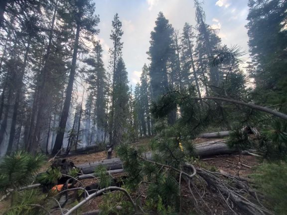 CentralORFire's tweet photo. #ToloMountain 🔥: Firefighters and a dozer worked into the night constructing containment line around fire area, which includes multiple spots. Air resources will be flying soon to look for additional smokes around the perimeter. The fire is est.~25 acres and is 0% contained. https://t.co/T9PokVj1EA
