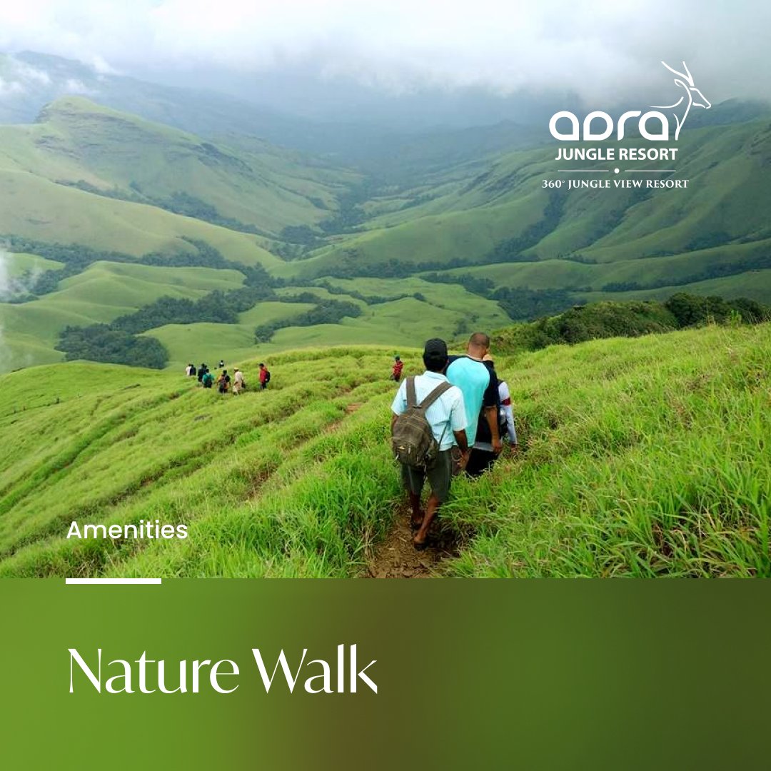 AaraResort's tweet photo. Take a walk with us to explore the wilderness and serenity of nature!
For Enquiries
+91 90714 44444
https://t.co/uNPuhS5v0i
#nature #naturewalk #swimmingpool #destinationweddings #familyevent #hospitality #foreststay #jungleresort #traveldiaries #staycation #coffeeshop #resort https://t.co/rtu6TFz7ZJ
