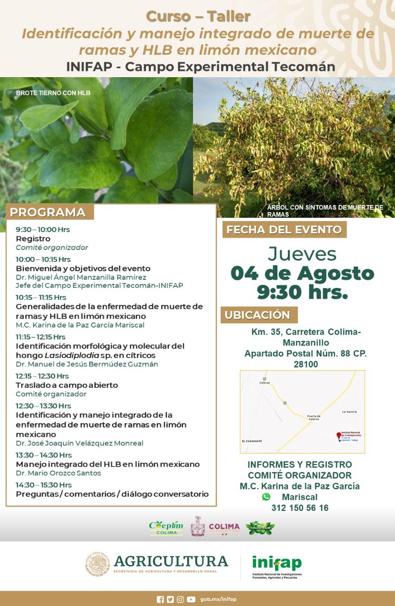 inifap's tweet photo. La agroindustria del limón mexicano 🍋 genera una gran cantidad de empleos en el campo 🌱 y otras industrias...
¡Aprende acerca de su manejo integral y control de plagas con el #CIRPAC!
🗓 4 de agosto
⏰ 9:30 h https://t.co/vU9EBaRTsr