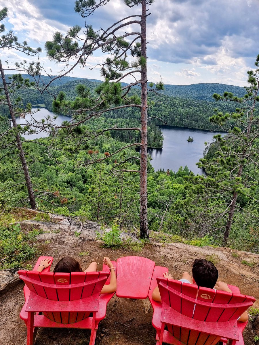 Alexandre Mutel tweet media