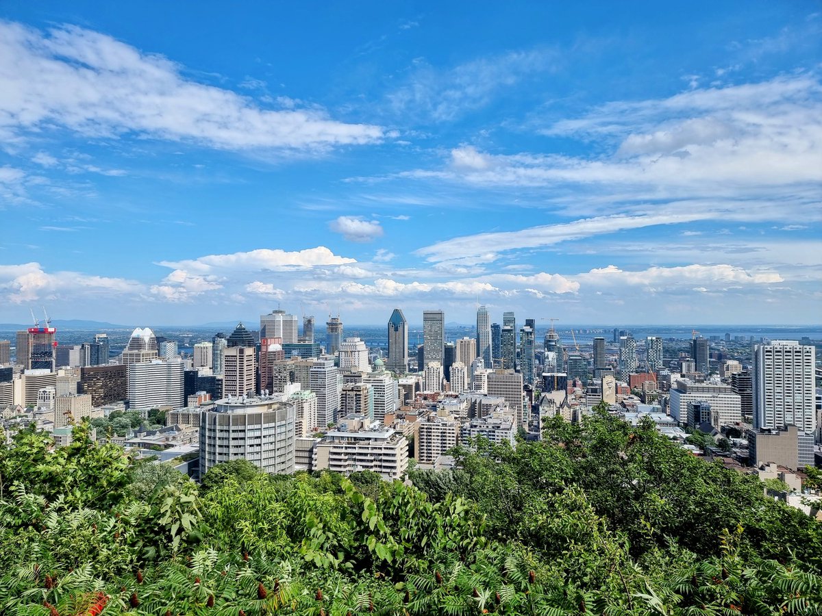 Alexandre Mutel tweet media