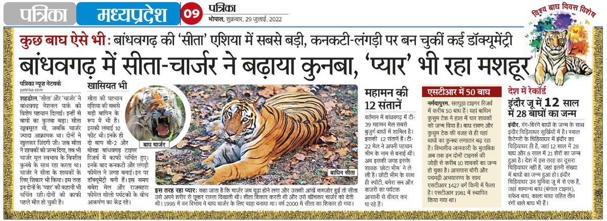 MediaShubham's tweet photo. सीता और चार्जर का प्रेम
#TigersDay #patrika #SpecialWork https://t.co/8TdastDS3O