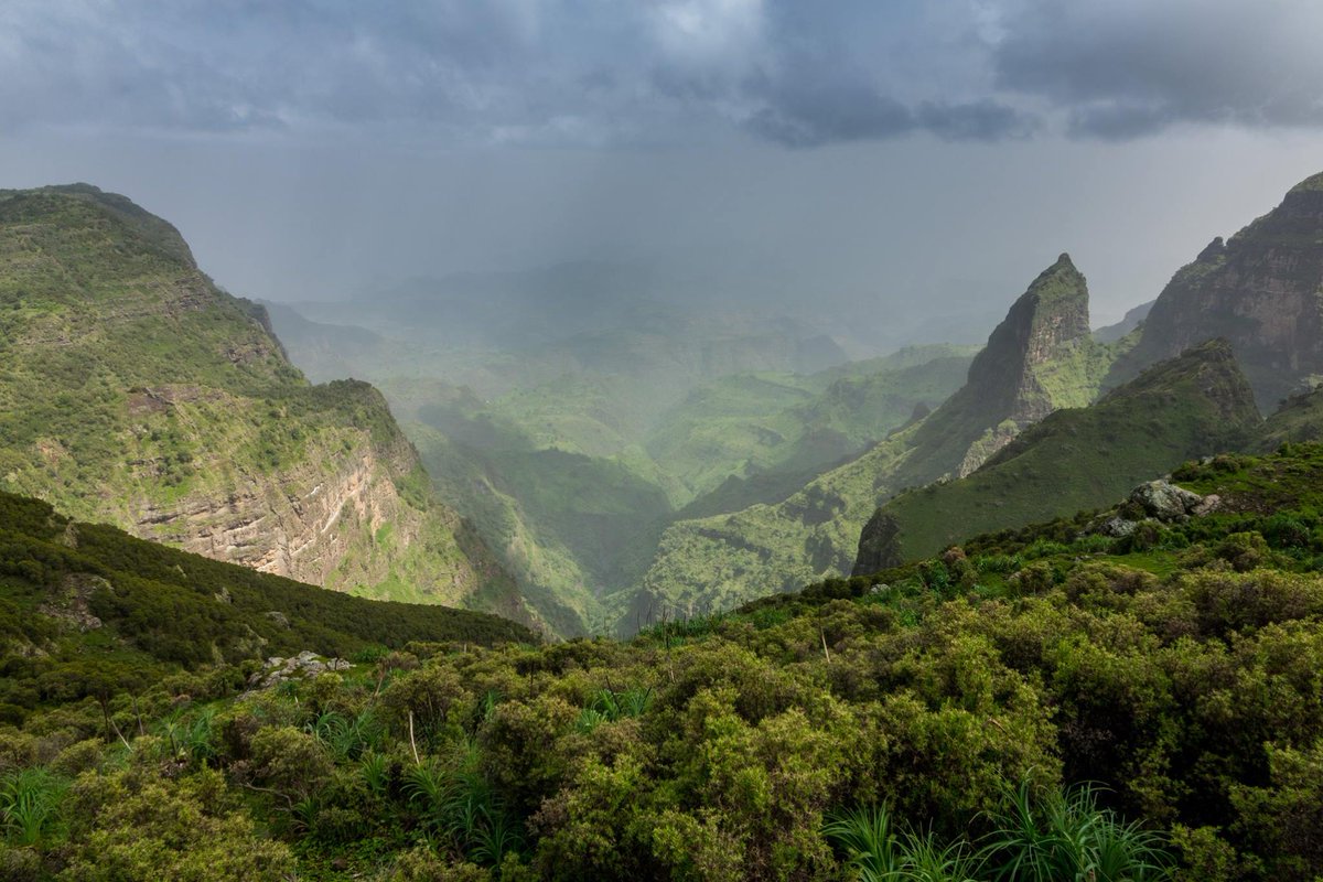 Exoticethiopian's tweet photo. Breathtaking, gorgeous, spectacular landscapes, different species of fauna &amp; flora, host community's culture ...many features! Semien Mountains!!
#VisitEthiopia #ColorsOfUnity #Project04 #Experience #LandOfOrigins @Landoforigins @flyethiopian @motethiopia @visiteth251 @BeZyee https://t.co/aSt7R2iAzQ