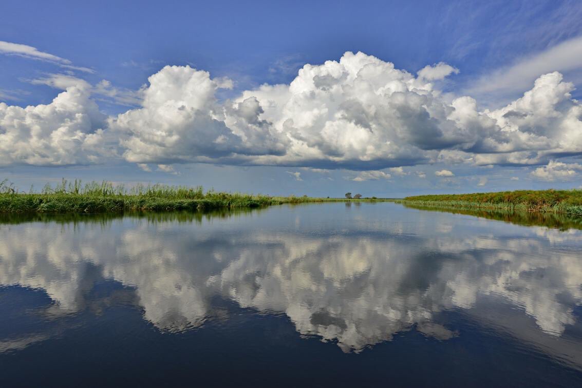ZQCollection's tweet image. Tranquillity at its best! Whether you’re travelling in the dry winter season or the rainy summer months – there’s an abundance of natural beauty to be found.

#travel #africa #choberiver #nature