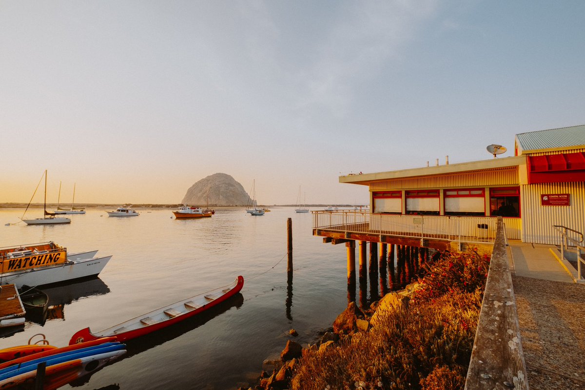 BMalau's tweet image. Memories from the road 🚐