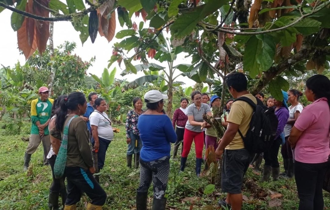 ProyectoAtpa's tweet photo. #Napo mediante el proyecto #ATPA Como parte del convenio entre el #MAG, #MAATE #Proamazonía e #IICA continúan los talleres de capacitación sobre Manejo sostenible de suelos y buenas prácticas agrícolas en el cultivo de cacao. Con la participación de 23 productores https://t.co/nfxQV8nLOp