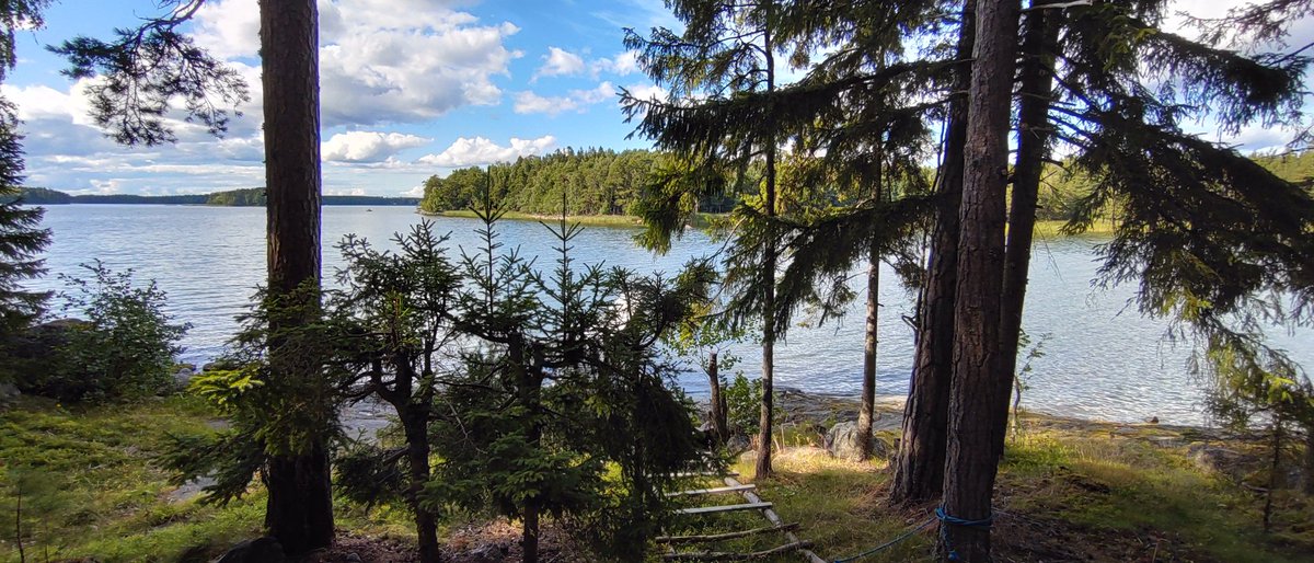 petterin1's tweet photo. #pellinge #pellinki #mökkijaminä #cottageandme #stuganochjag https://t.co/KQYcIweZ1o
