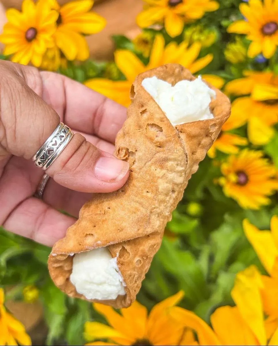 VivoliGelateria's tweet image. Featured for #FlavorsofFlorida at @DisneySprings. Repost from @nightmareadvs "Key Lime Cannoli - Crunchy cannoli shell filled with their sweet ricotta cream which has a great Key Lime flavor."