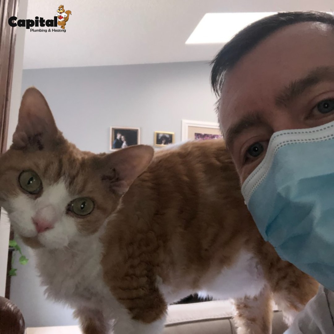 Feline good it's Friday! Have a purrrfect weekend, y'all!😺