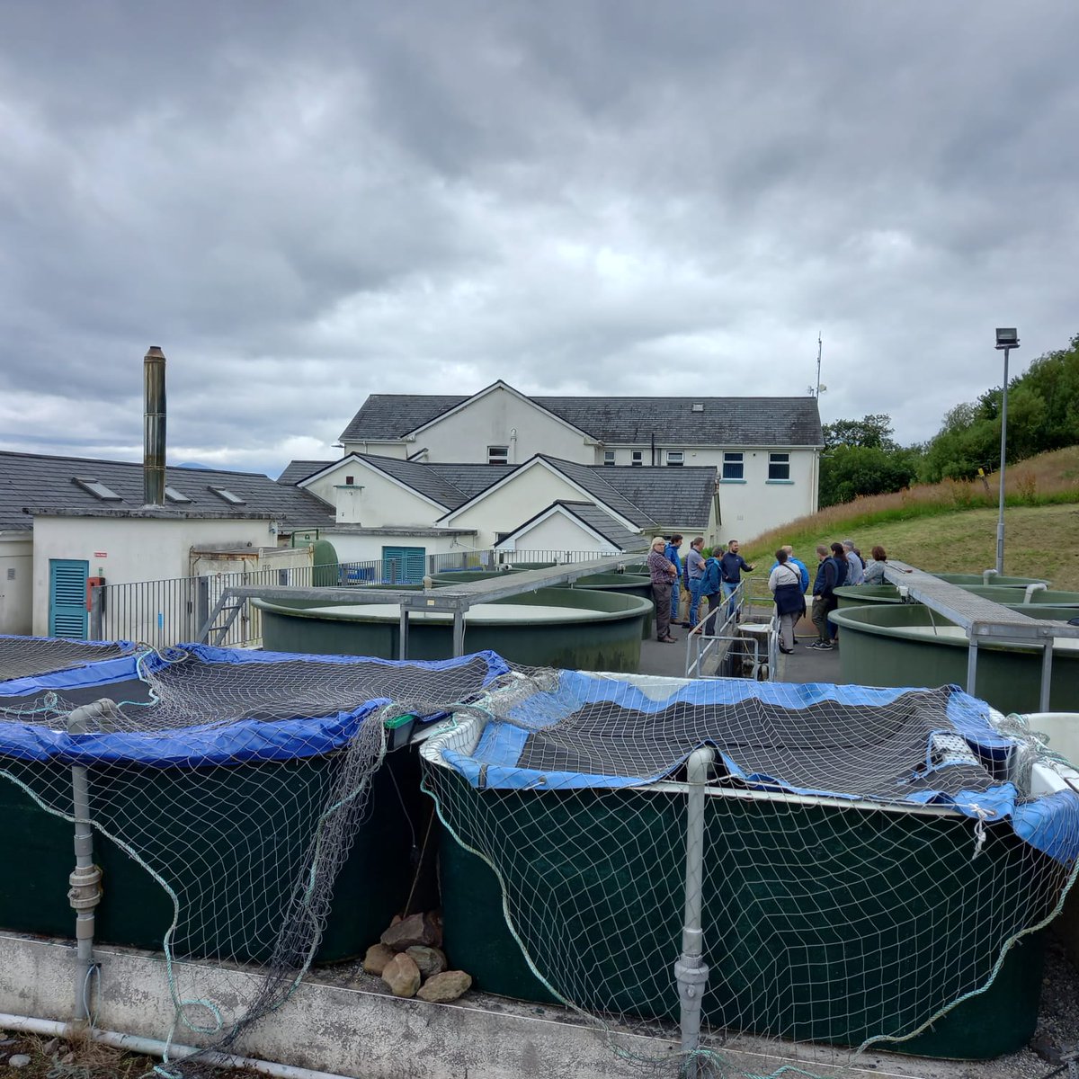 Elvira de Eyto tweet media