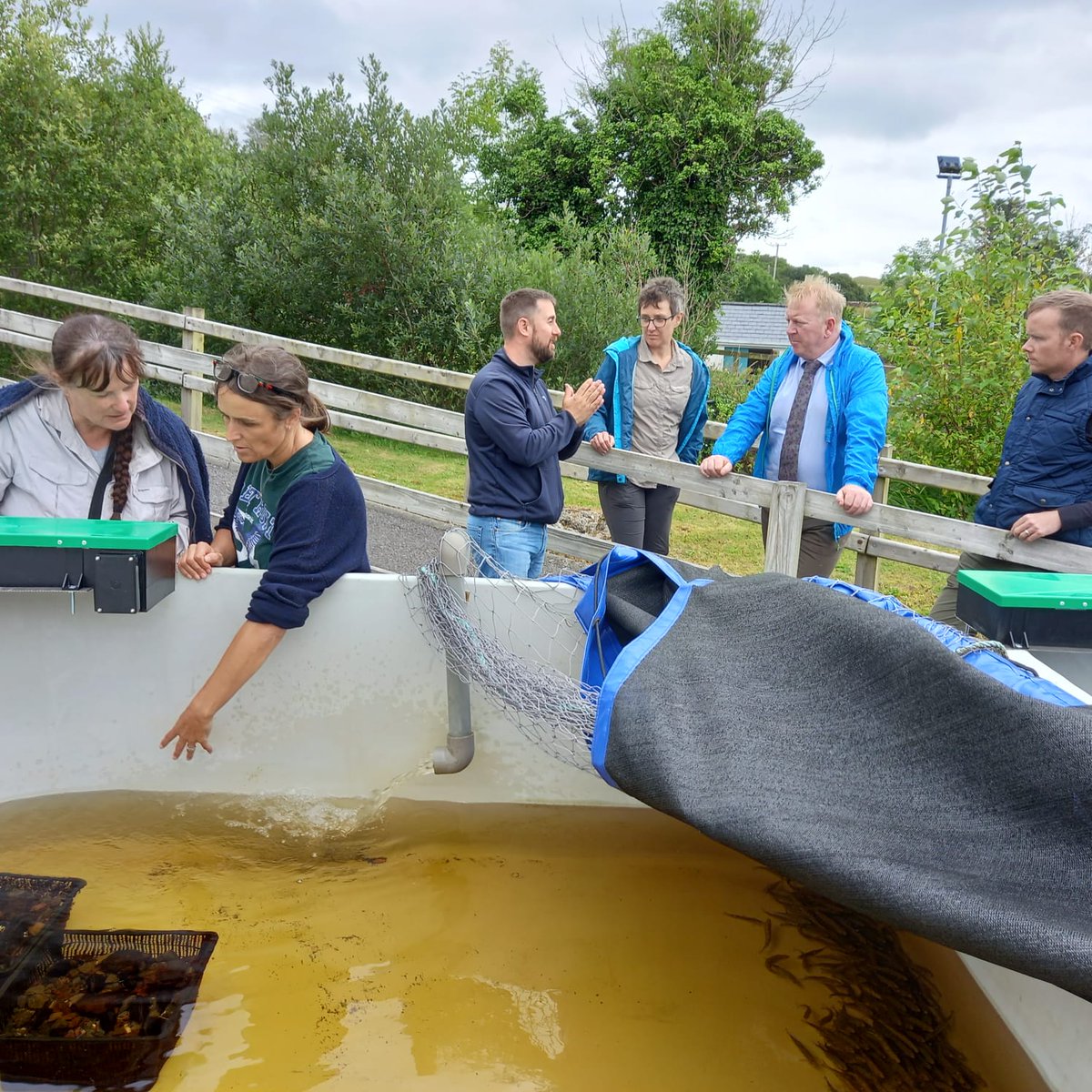 Today, we had a great site visit from our colleagues in @npwsBioData <a href="/opwireland/">Office of Public Works</a> to the <a href="/MarineInst/">Marine Institute</a> Newport hatchery, to share our experience to date of captive breeding #FreshwaterPearlMussel 
<a href="/agriculture_ie/">Dept of Agriculture, Food and the Marine</a> <a href="/IRLDeptPER/">Department of Public Expenditure</a> <a href="/DeptHousingIRL/">Department of Housing, Local Government & Heritage</a> <a href="/ElizabethRyder7/">Elizabeth Ryder</a> <a href="/EvelynMoorkens/">Evelyn Moorkens</a>