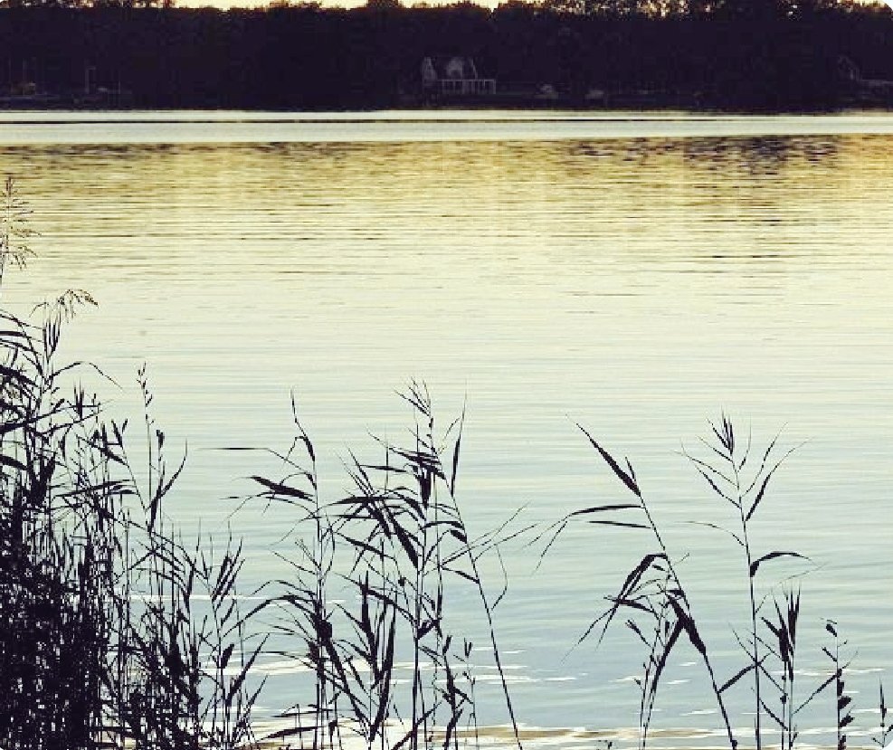 Letnapark's tweet photo. ABENDGRUß!💙💛
Diamanten wandern übers Wasser!
Ausgereckte Arme
Spannt der falbe Staub zur Sonne!
Blüten wiegen im Haar!
Geperlt
Verästelt
Spinnen Schleier!
Duften
Weiße matte bleiche
Schleier!
aus: Du. Liebesgedichte, Der Sturm, 1922
August #Stramm *29.7.1874 – 1.9.1915 https://t.co/dwlBwcXs8F