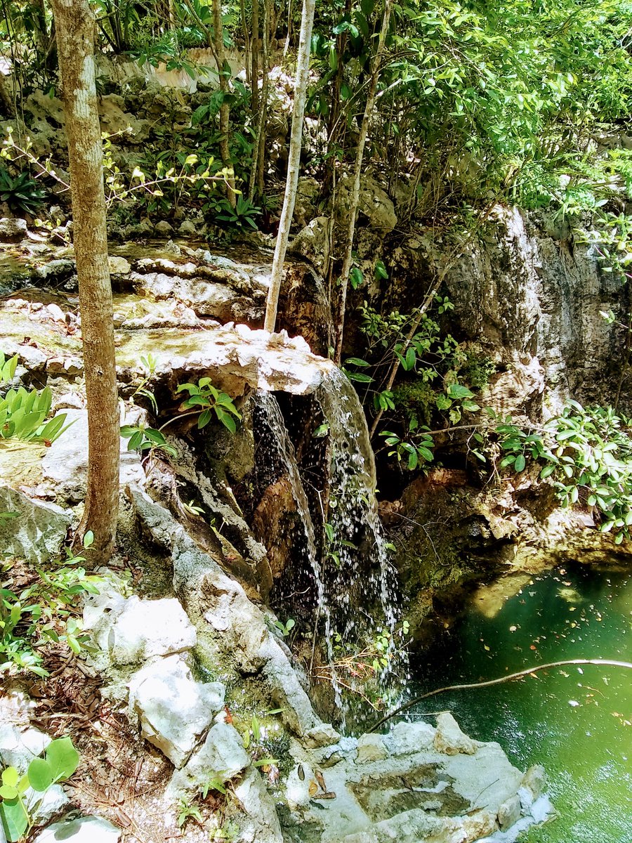En Kuha vives la naturaleza