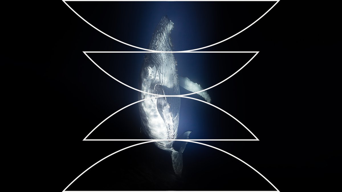 Radiolab tweet media