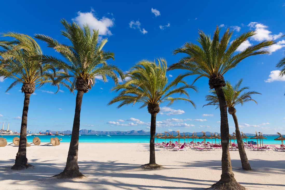 epicure_life's tweet photo. 3πAlcudia Beach
#Thread #Beach #Bestwaters #tripblog #triptips #journeyblog #travellblogger https://t.co/DPVVRQCKNY
