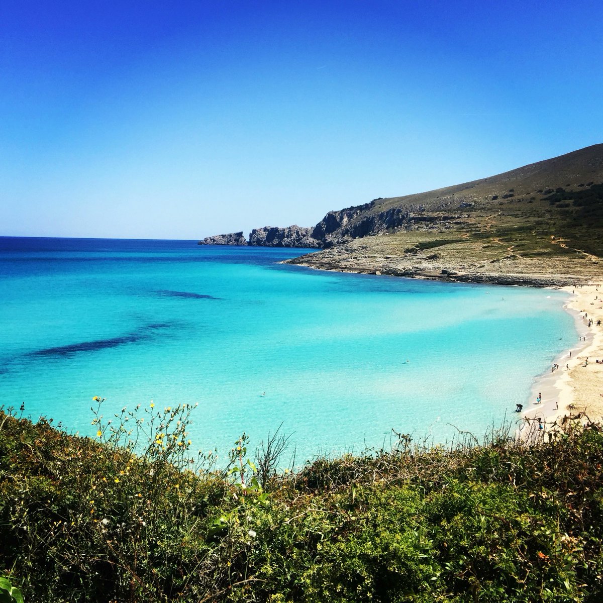 epicure_life's tweet photo. 4πCala Mesquida
#Thread #Beach #Bestwaters #tripblog #triptips #journeyblog #travellblogger https://t.co/RSWDNrVIAl