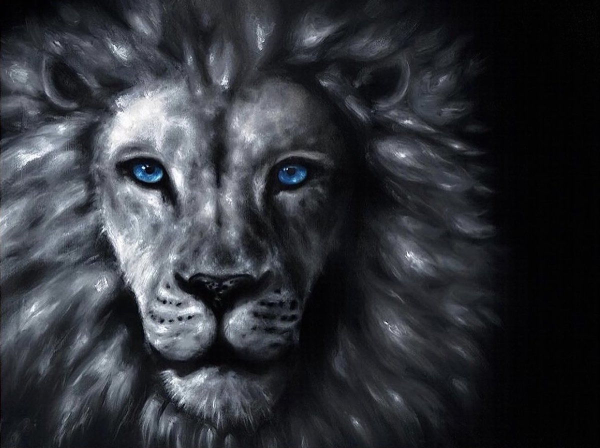 shelbystardust tweet media