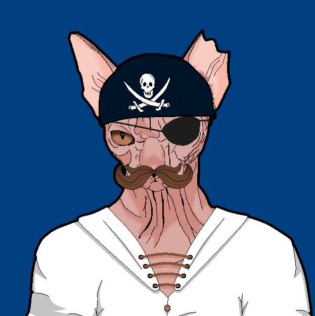 Sgoos_'s tweet photo. @aegean2356 "Pirate Captain Cat" For only 0.005 Eth!
#NFTs 
#NFTCommuntiy 
#nftart https://t.co/toAYgoIDnt