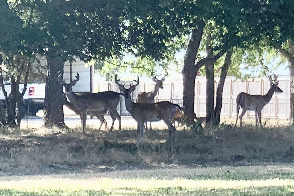 TXTransplant45's tweet photo. Hey Nancie is it expensive to live in your neighborhood?
Nah Just a couple bucks😂🤣😂🤣🤣🤣😂🤣I’ve been waiting 5 years to say that😂😂🤣#dorksrule https://t.co/bnkLAcfPMw