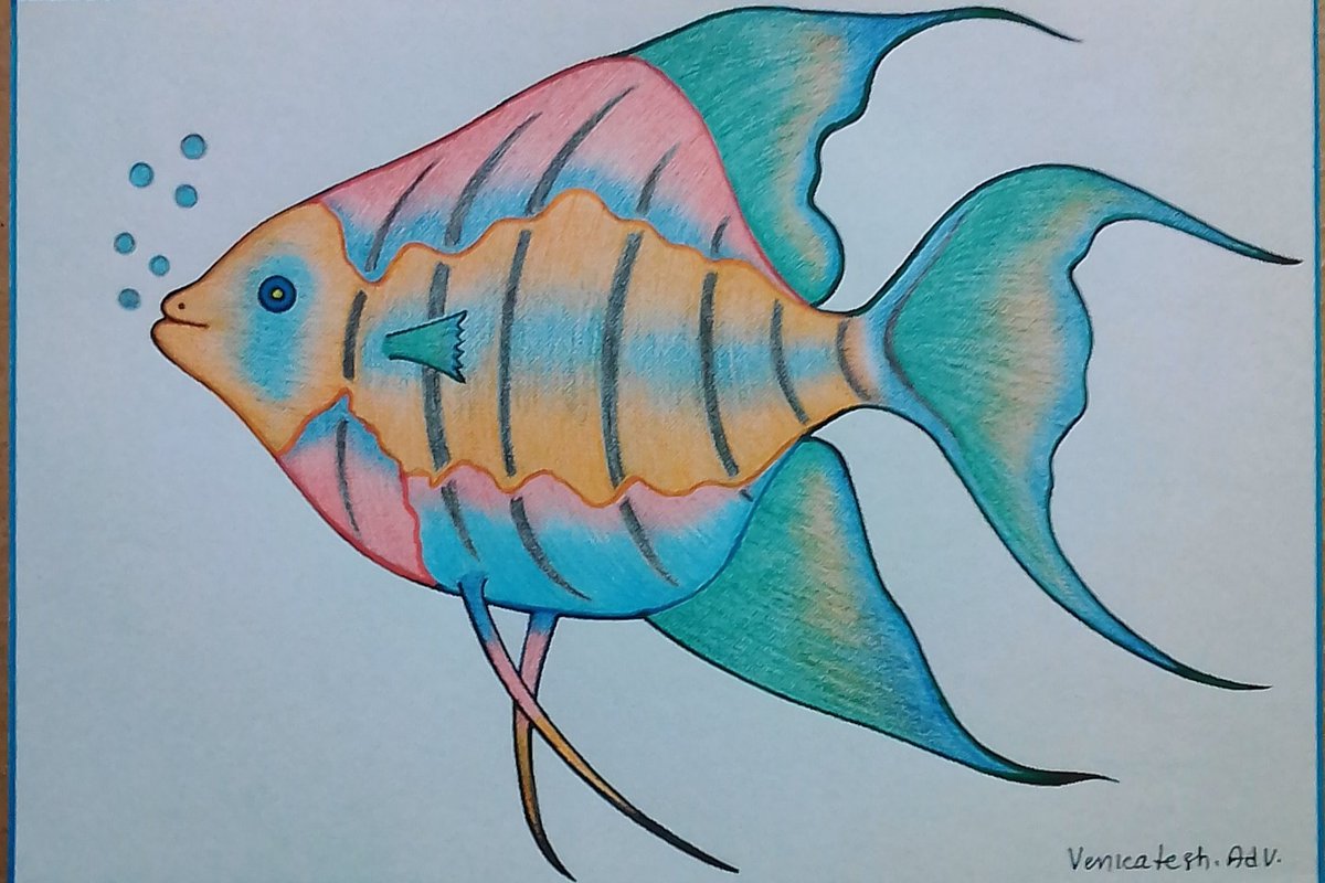 v_vemisetty's tweet photo. #artbyvenkateshadv  #art 
#artwork  #drawing 
#drawingwithcolourpencils 
#drawingwithsketchpens 
#originalart  #artoftheday 
# angelfish https://t.co/JZWggAWMGy