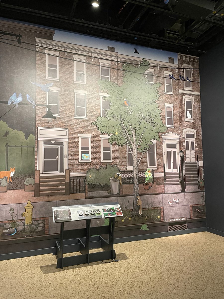 USDA_ARS's tweet image. Scientific illustrator Taina Litwak w/ ARS's Systematic Entomology Lab, contributed a mural which captures the presence of nature even in the middle of a city in the Smithsonian National Museum of Natural History’s new exhibit “Our Places: Connecting People and Nature” #SysEntLab