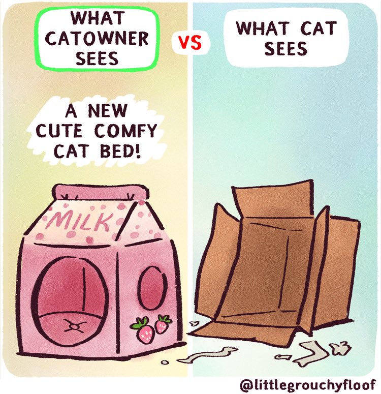 littlegrouchyfloof tweet media