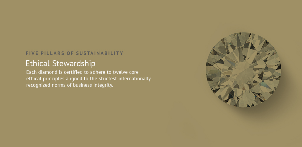 Sustainability Rated Diamonds tweet media