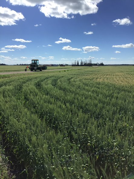 Digital Agronomy tweet media