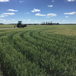 Photo by Digital Agronomy (@FE_DigitalAg)