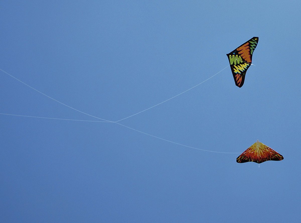 justbrowsingthr's tweet image. I guess the best way to get followers is to actually tweet. 
I love taking photos. Here&apos;s a shot you don&apos;t get everyday. 

#Tangledupinblue