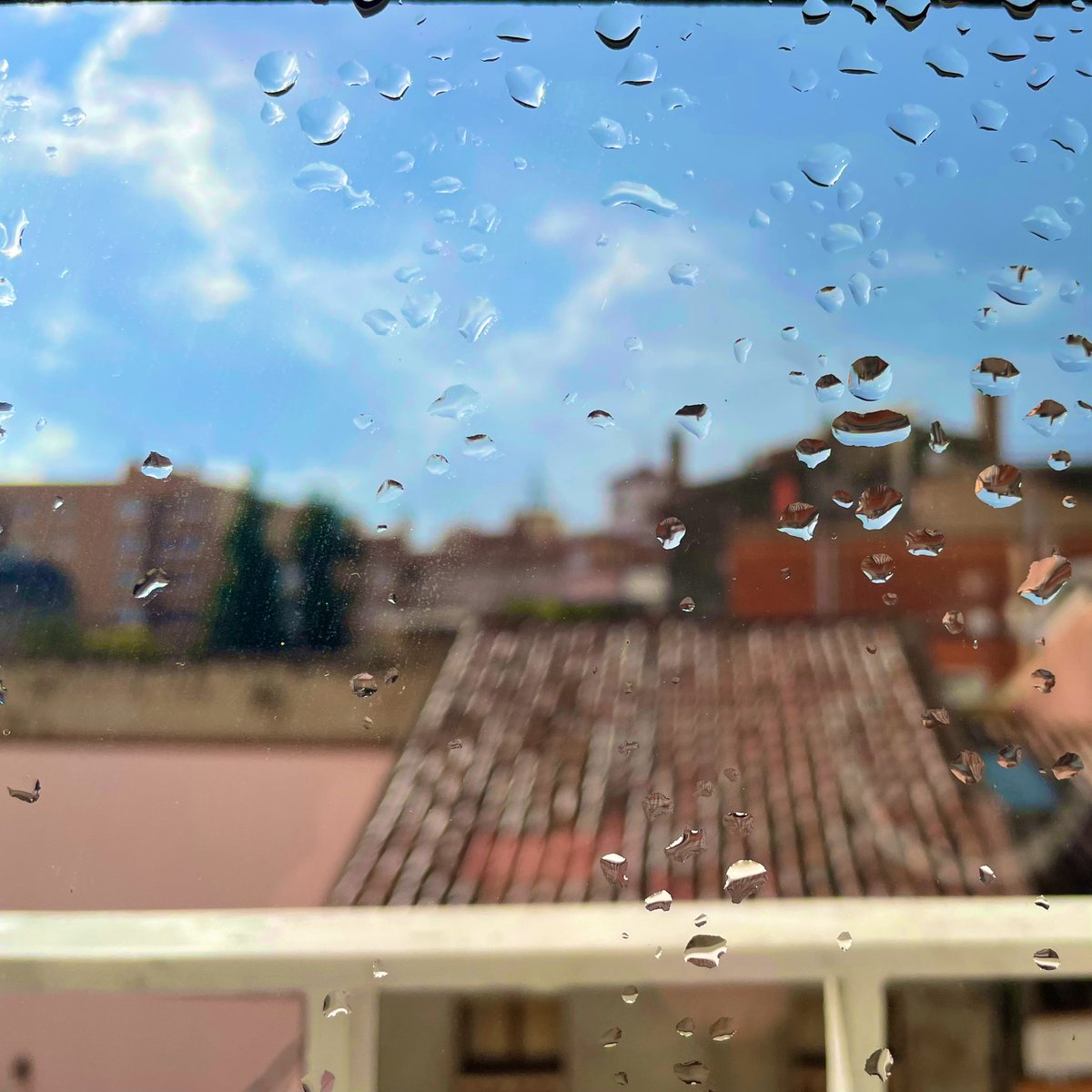 Quant de temps sense veure els vidres mullats per la pluja! #beneïtruixat #benvingudapluja #plouifasol