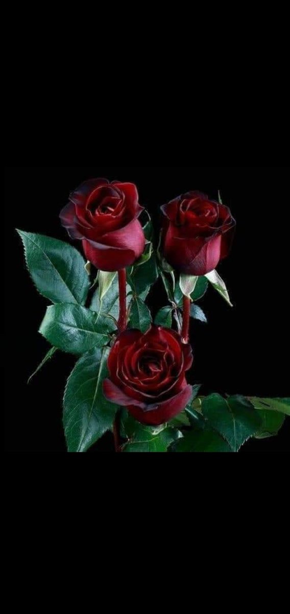 saqib___cheema's tweet photo. @asma_sultan https://t.co/xQ3VXZFLlX