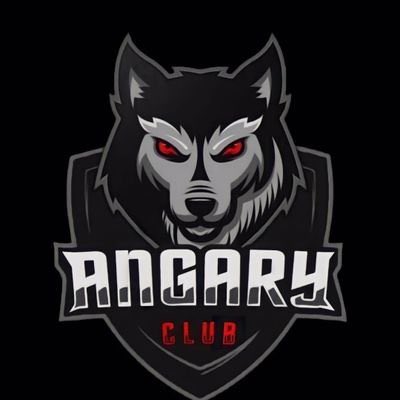 TEAM A N G A R Y tweet media