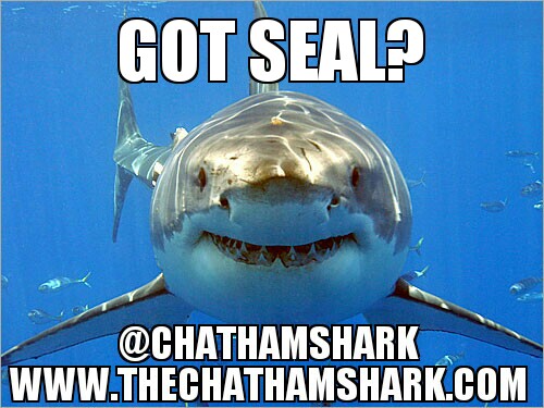 ChathamShark's tweet photo. @OutnumberedFNC https://t.co/rOG84a62SR