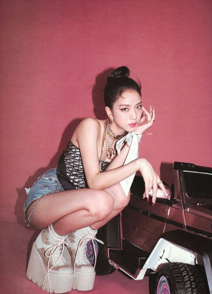 golden retriever                       gato preto