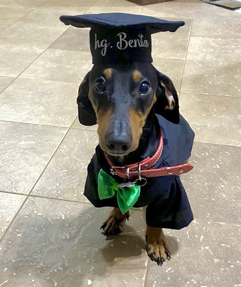 cecicabralm's tweet photo. Les presento al mejor egresado: el Ing Benito 😍❤️ https://t.co/rluKTgPas2