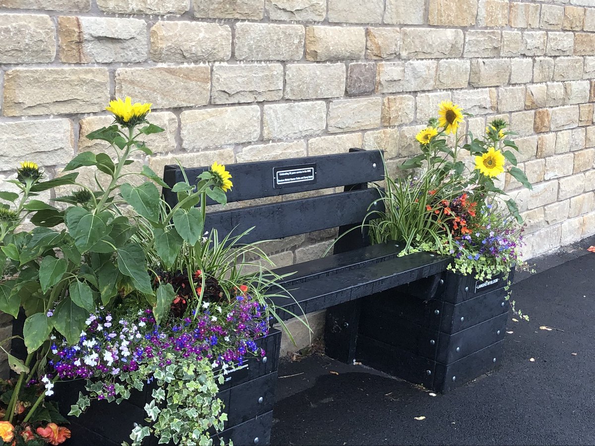 langhoinbloom's tweet photo. @stleonardsvicar Blooming heck 🌻🌻👍 https://t.co/fceAzbwMml