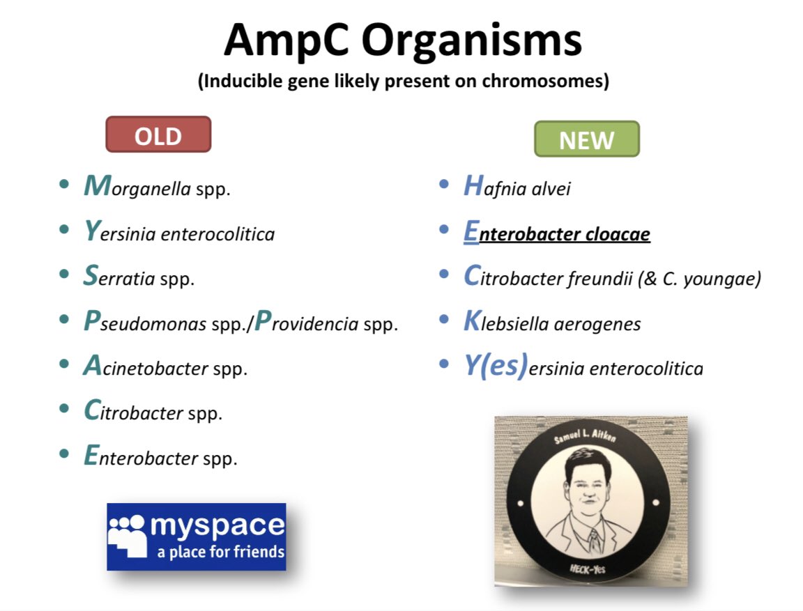 Julie Ann Justo tweet media