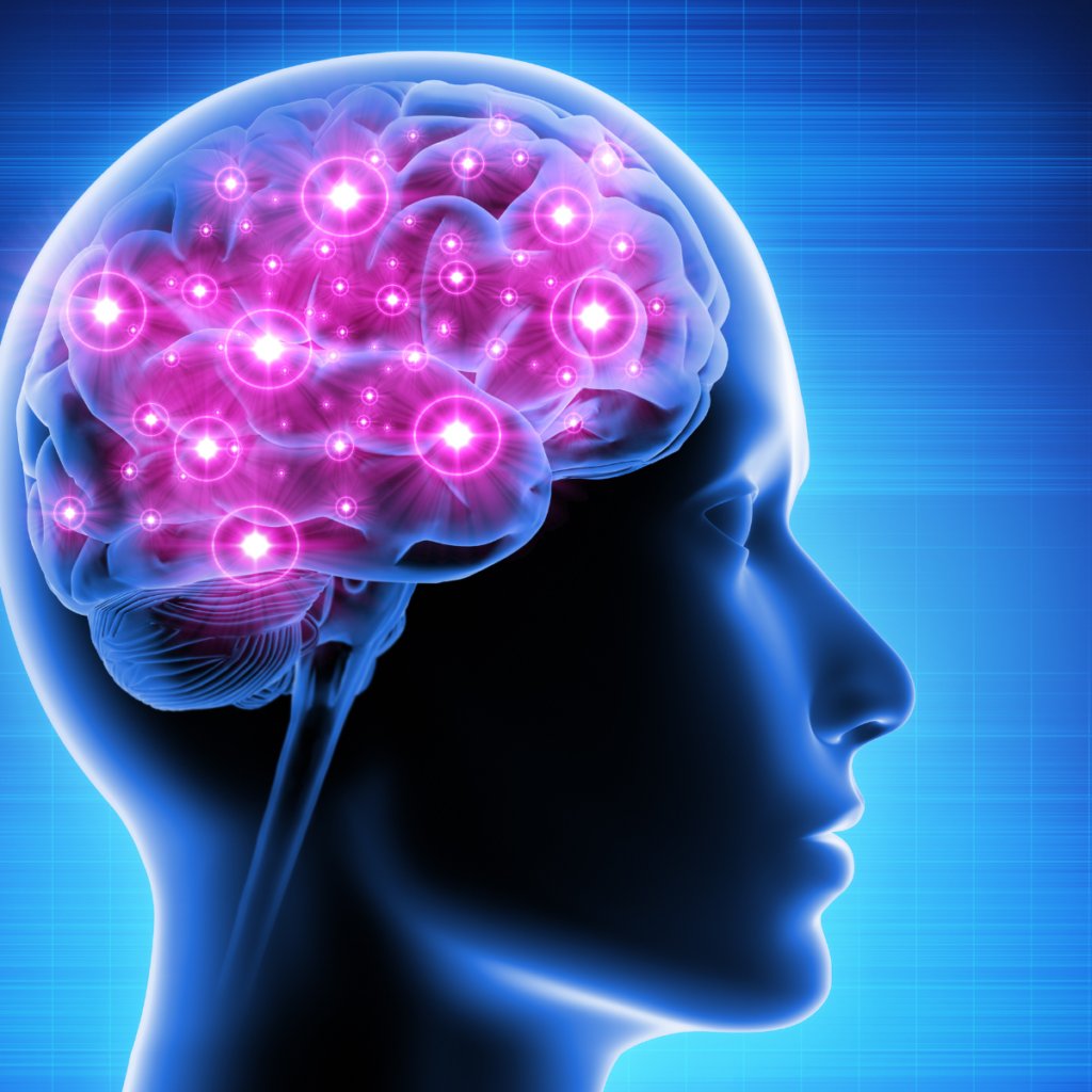 AlzBetter tweet media
