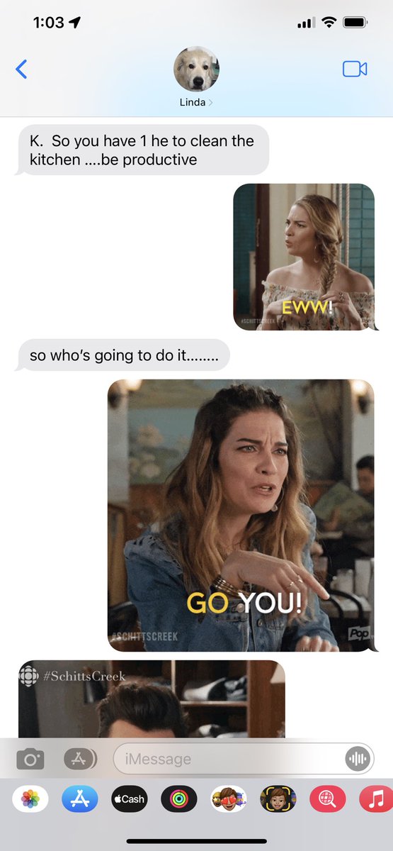 KEFerguson18's tweet photo. So my mom and I had an entire conversation about cleaning my kitchen using nothing but @SchittsCreek memes. https://t.co/2Ix3xwfXII