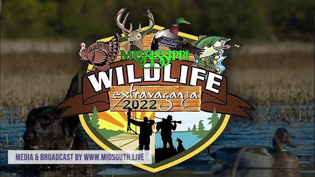 MidSouthLive's tweet photo. Mississippi Wildlife Extravaganza 2022 - SEE MORE AT https://t.co/dvEYjJaTH0 - This is a limited preview of what's currently live on https://t.co/dvEYjJaTH0 - Watch in better quality at https://t.co/DGE7BC7GV4 (Cross-posted from Facebook - https://t.co/CvAESDJRpB) https://t.co/vLJVyr3huS