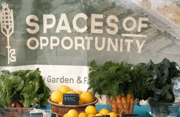 On July 30, Aug. 13 and 27, visit <a href="/dbgphx/">Desert Botanical Garden</a>'s Flashlight Nights from 7-9 p.m. and enjoy a nighttime farmers market provided by Spaces of Opportunity!

Learn about the Market: spacesofopportunity.org/our-spaces/far…

Purchase tickets for Flashlight Nights: dbg.org/events/flashli…