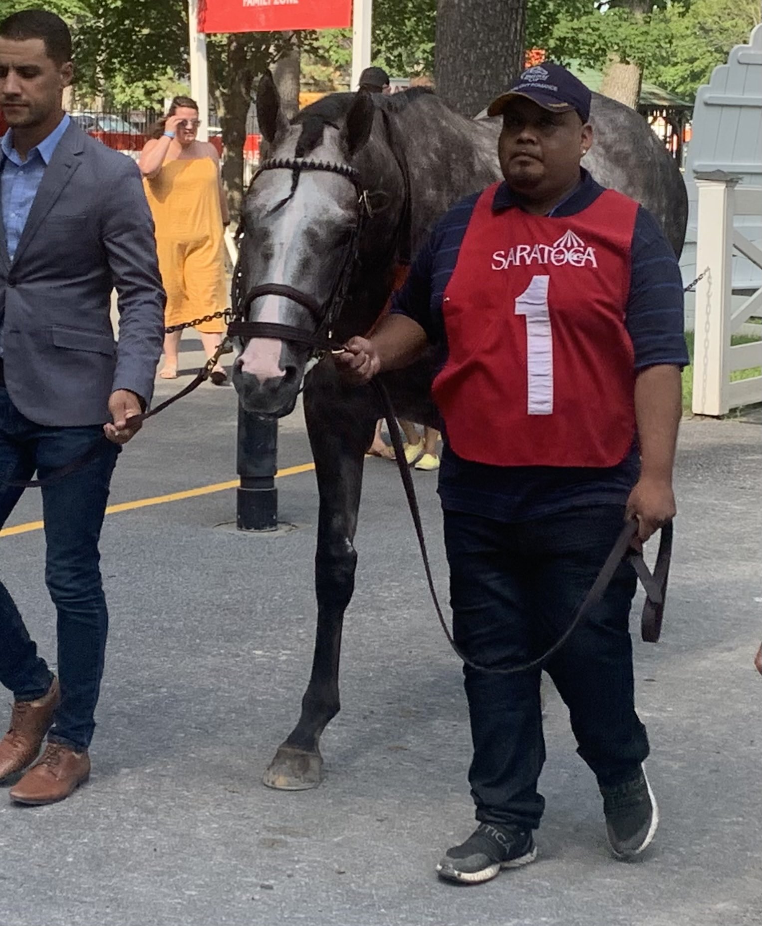 Scratchstakes - fvz88qr