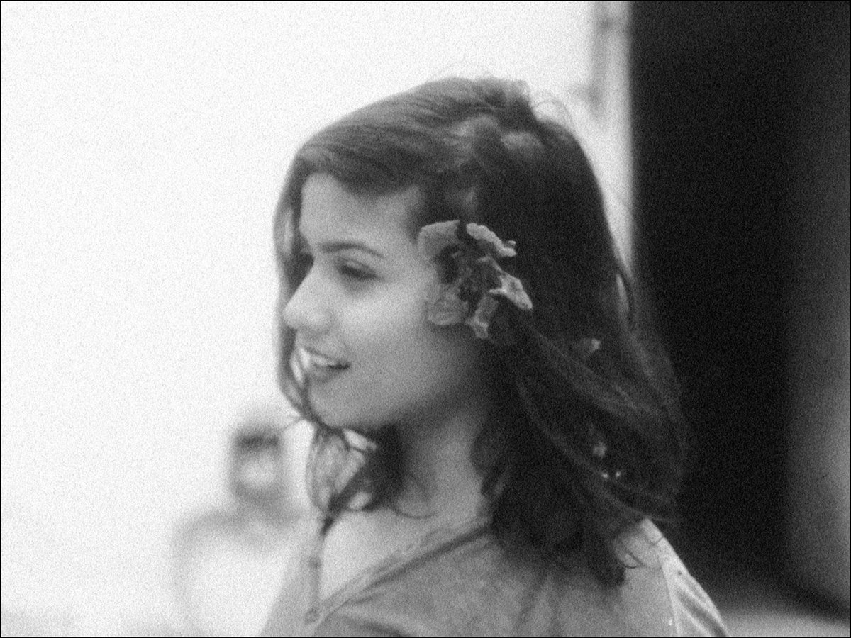 TIFF_NET's tweet photo. An electrifying debut, Payal Kapadia's A NIGHT OF KNOWING NOTHING is a fever dream of impossible love with a reflection on contemporary India. ✨
 
Presented in partnership with @imagesfestival, (re)discover the film at TIFF Bell Lightbox Aug 11–17: https://t.co/CyuIPexIIG https://t.co/qWwR6LCWf9