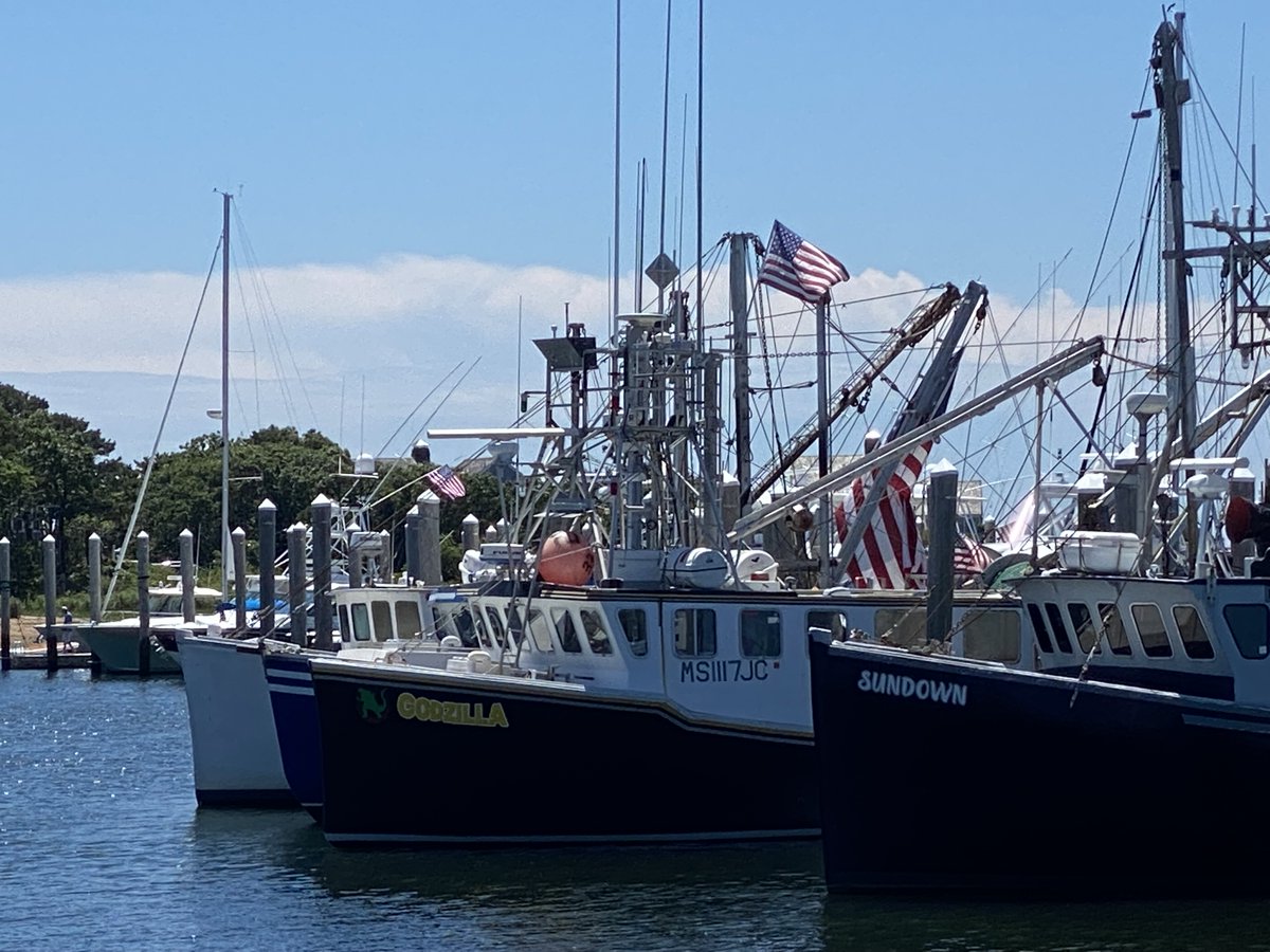 FishAlliance's tweet photo. Beautiful summer day in Harwich.
#workingwaterfronts #fishalliance #capecod https://t.co/l5hwdRajer
