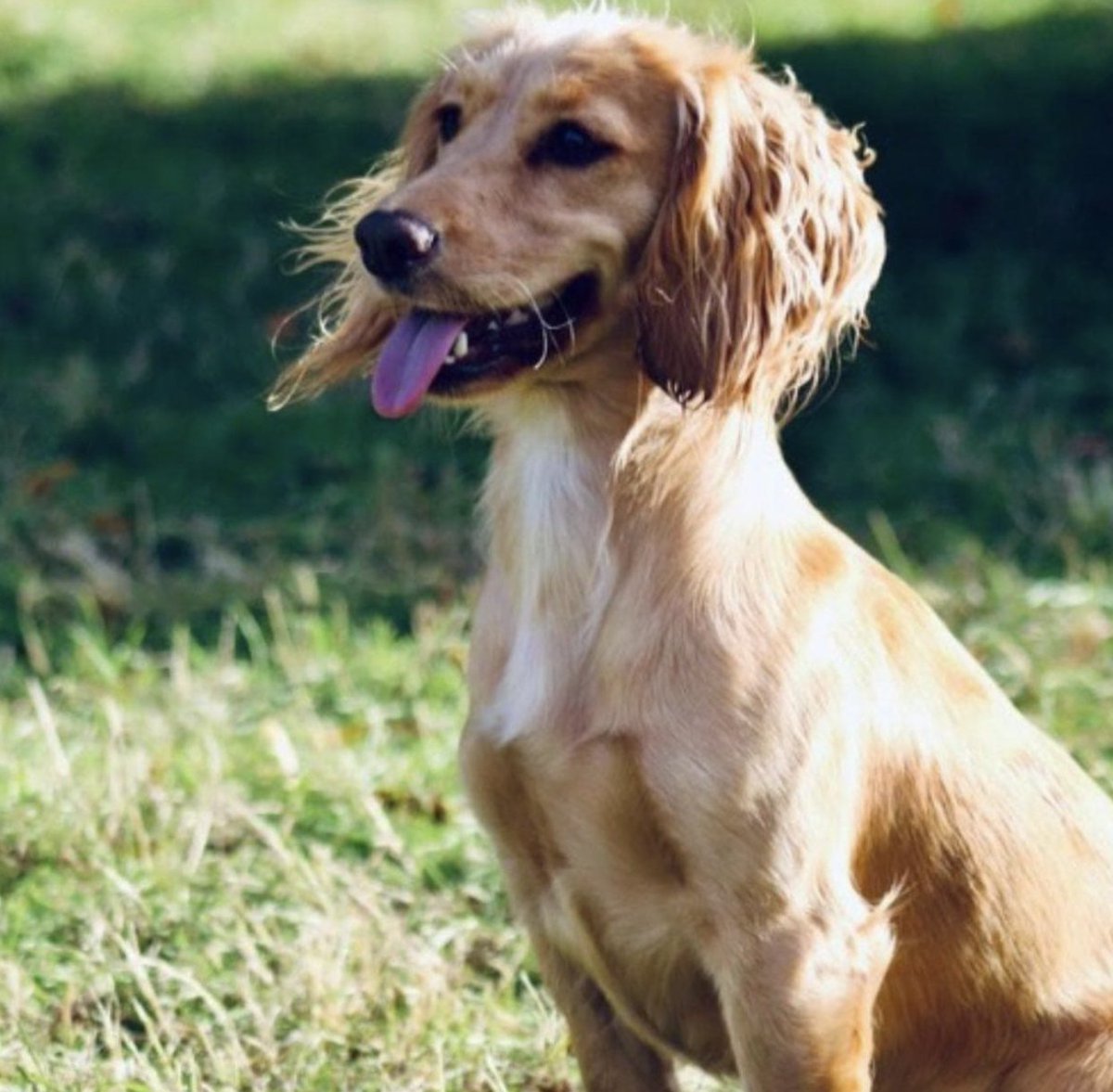 Stephanie Presdee tweet media