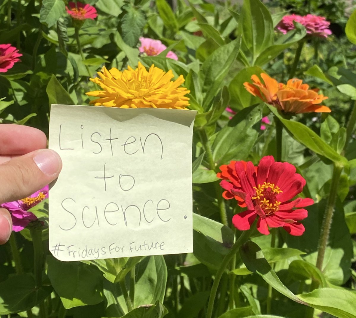 Climate Strike week 86. 

#FridaysForFuture
#PeopleNotProfit  
#ListenToTheScience 

<a href="/POTUS/">President Donald J. Trump</a> listen to <a href="/FFFMAPA/">Fridays For Future MAPA</a> 
<a href="/POTUS/">President Donald J. Trump</a> listen to youth.
<a href="/POTUS/">President Donald J. Trump</a> listen to science. 
<a href="/POTUS/">President Donald J. Trump</a> Declare a climate emergency.