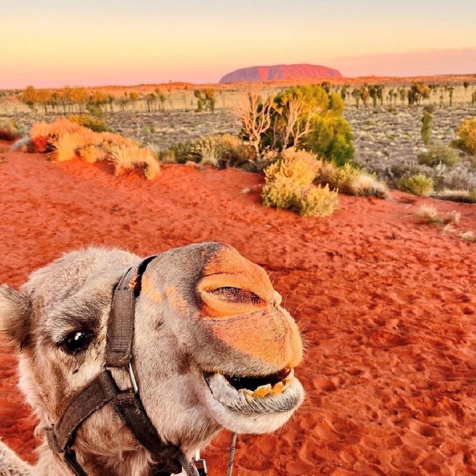 Watch Australia's leaked NSFW photo on TwXstars